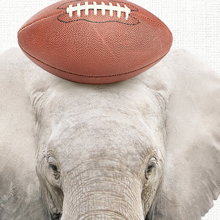 an elephant with a football on its back