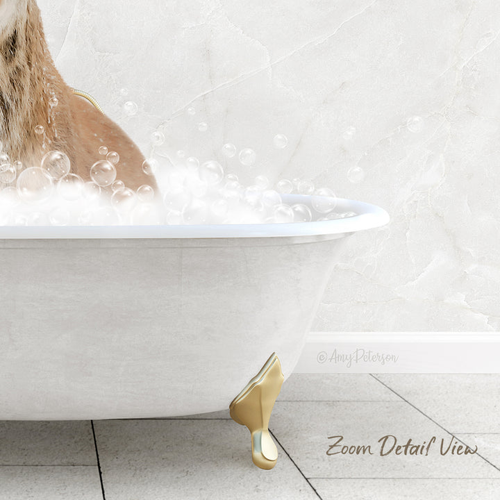 A dog is sitting in a white bathtub filled with bubbles, enjoying a relaxing bath.