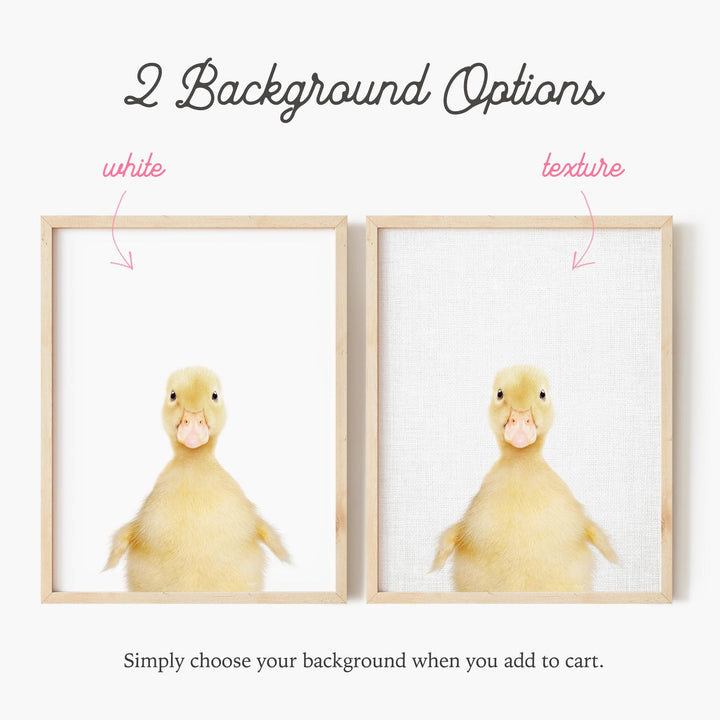 a picture of a duck in a picture frame