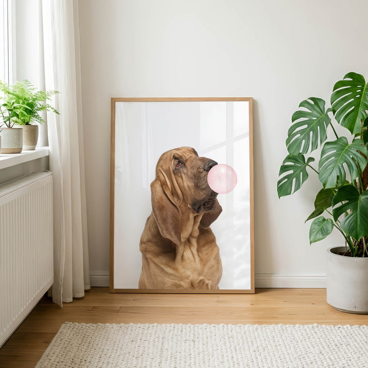 A framed photograph of a dog blowing a bubble gum bubble is displayed on a wall in a room with a rug and potted plants.