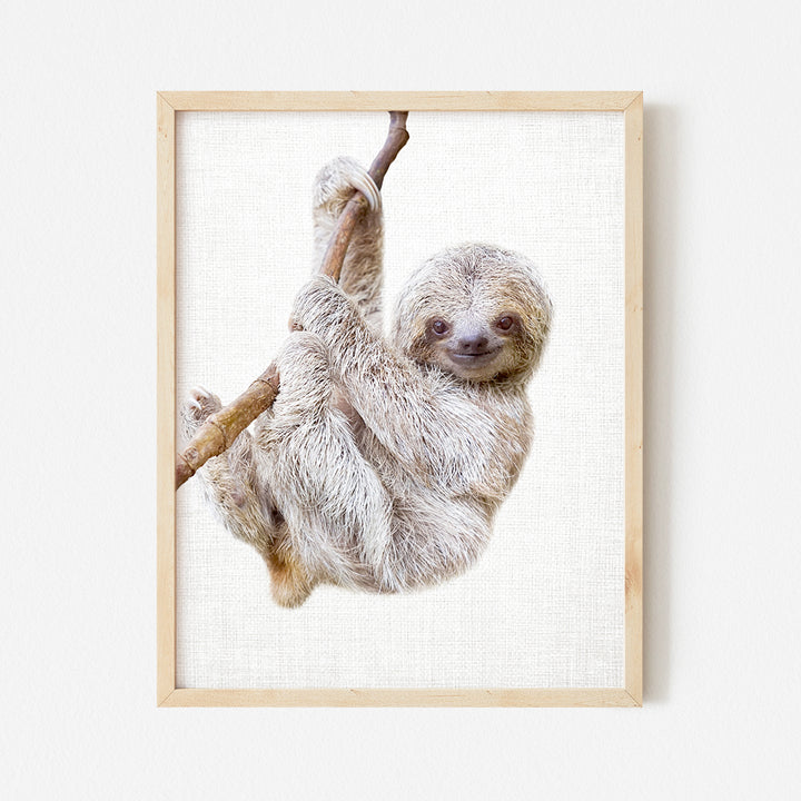 a picture of a sloth hanging on a tree branch