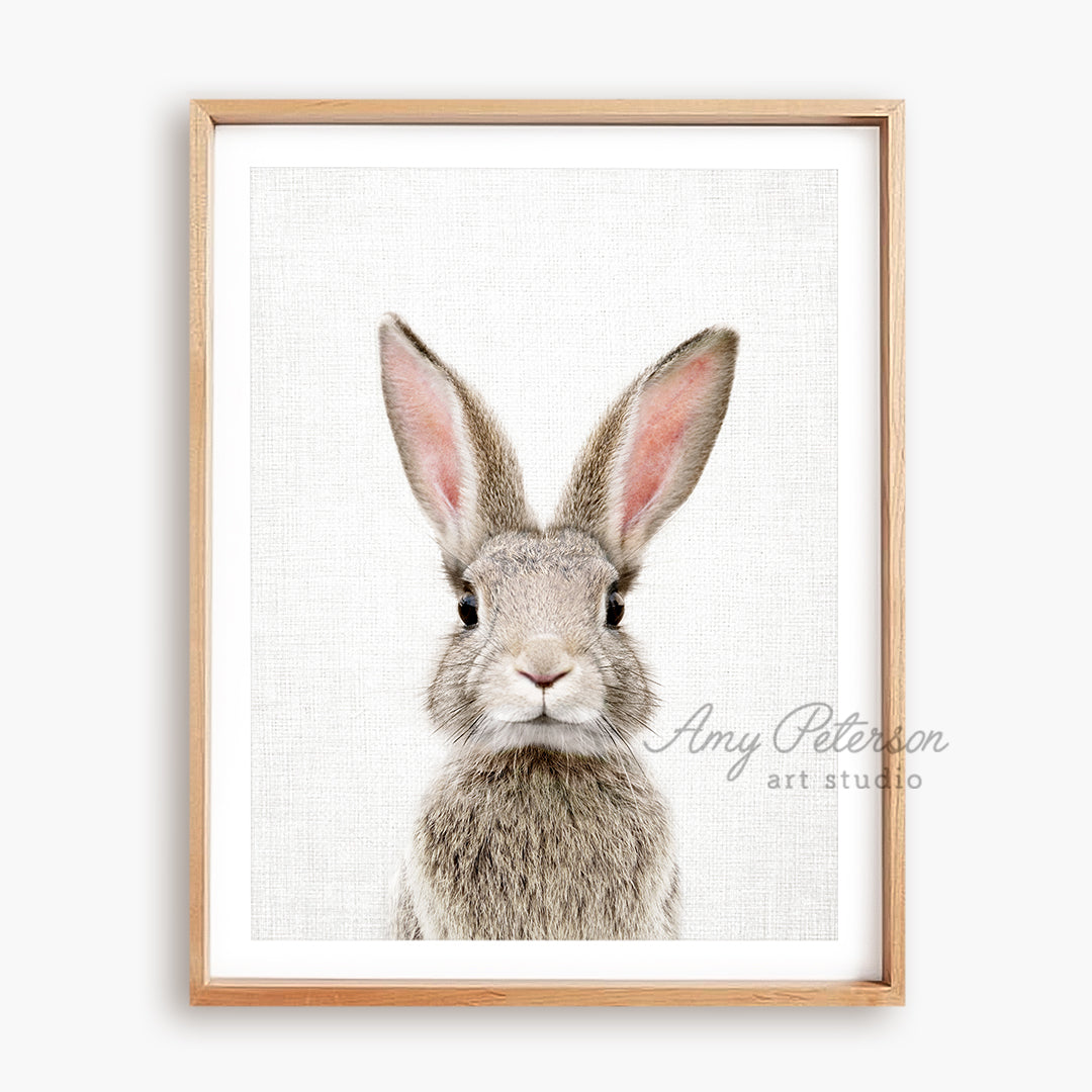 a framed picture of a rabbit's face