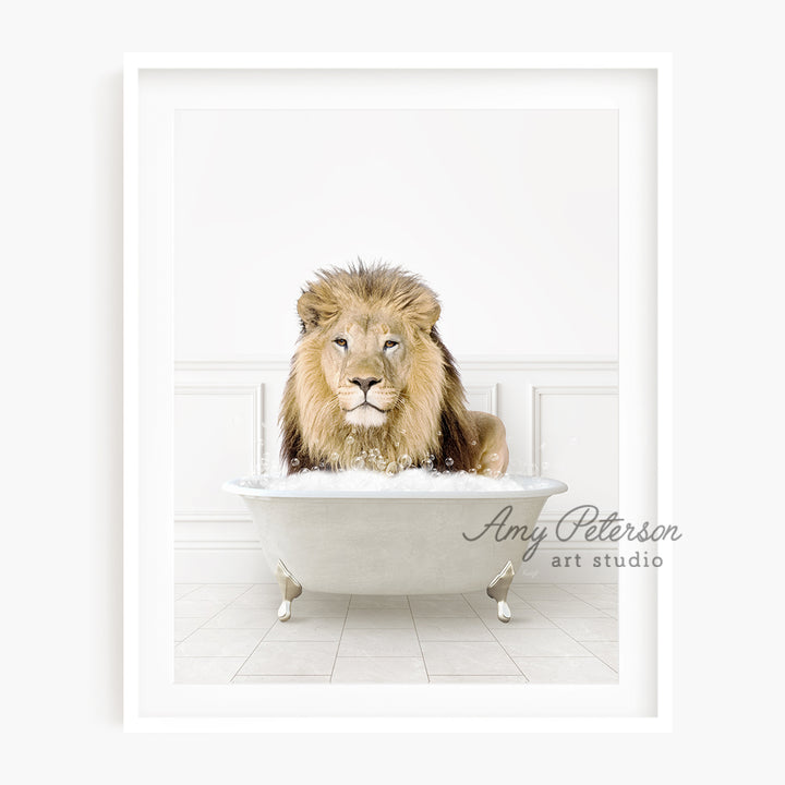 a lion sitting in a bathtub with a white background