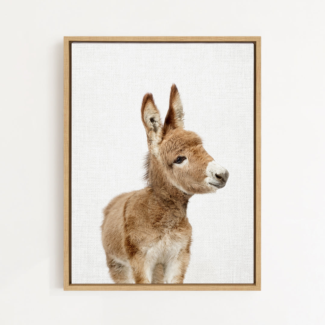A framed image of a cute, brown and white donkey with large ears and a small nose, looking directly at the camera.