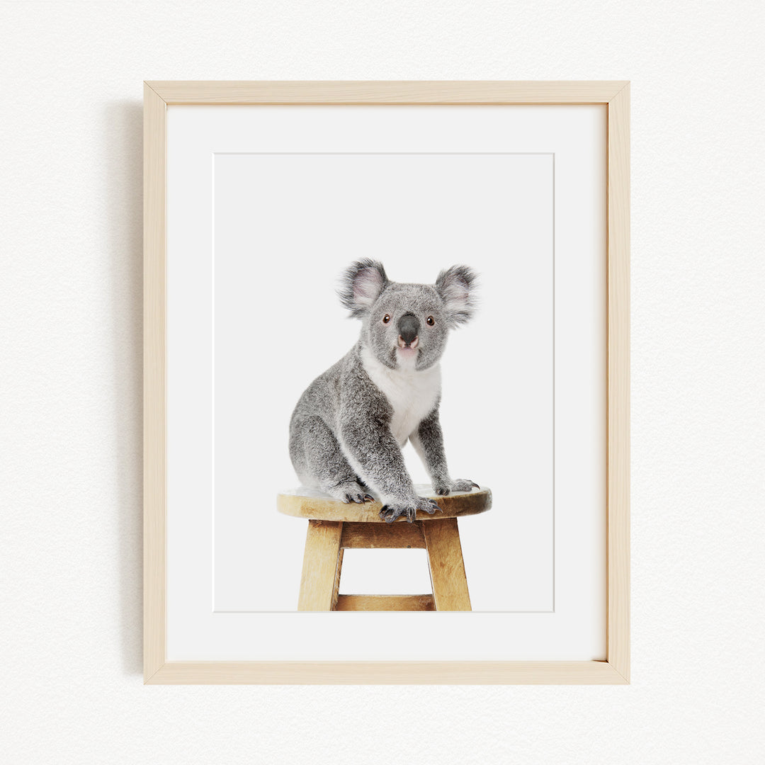 A koala sitting on a wooden stool.