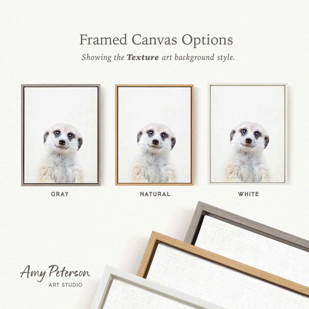 three framed canvas options, each with a different background color: gray, natural, and white. The text above the images reads " Framed Canvas Options" and "Showing the Texture art background style."