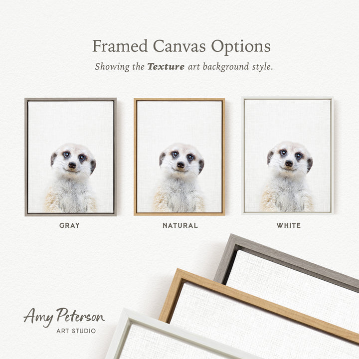 three framed canvas options, each with a different background color: gray, natural, and white. The text above the images reads " Framed Canvas Options" and "Showing the Texture art background style."