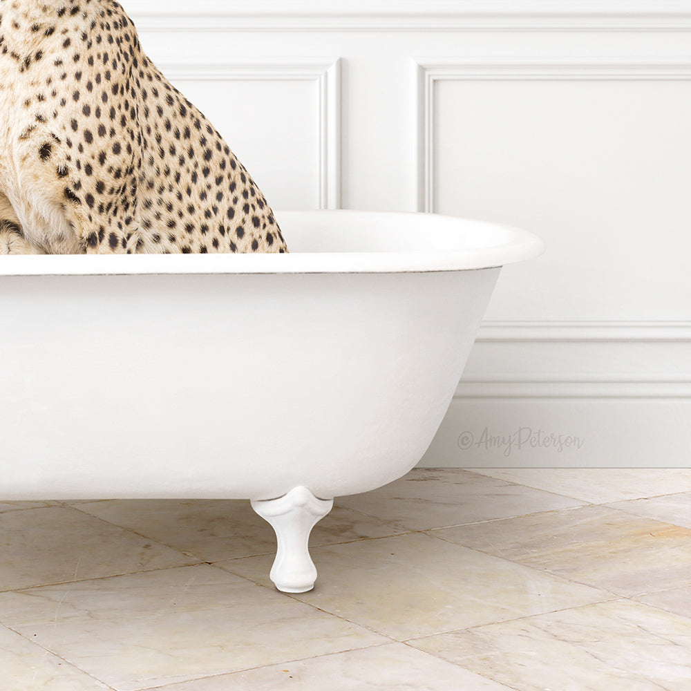 A leopard resting in a white bathtub, with its distinctive spotted fur visible.