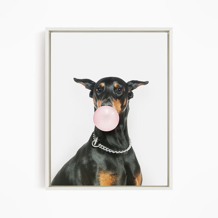 A black and brown dog wearing a chain collar is blowing a bubble with a pink bubble gum bubble.