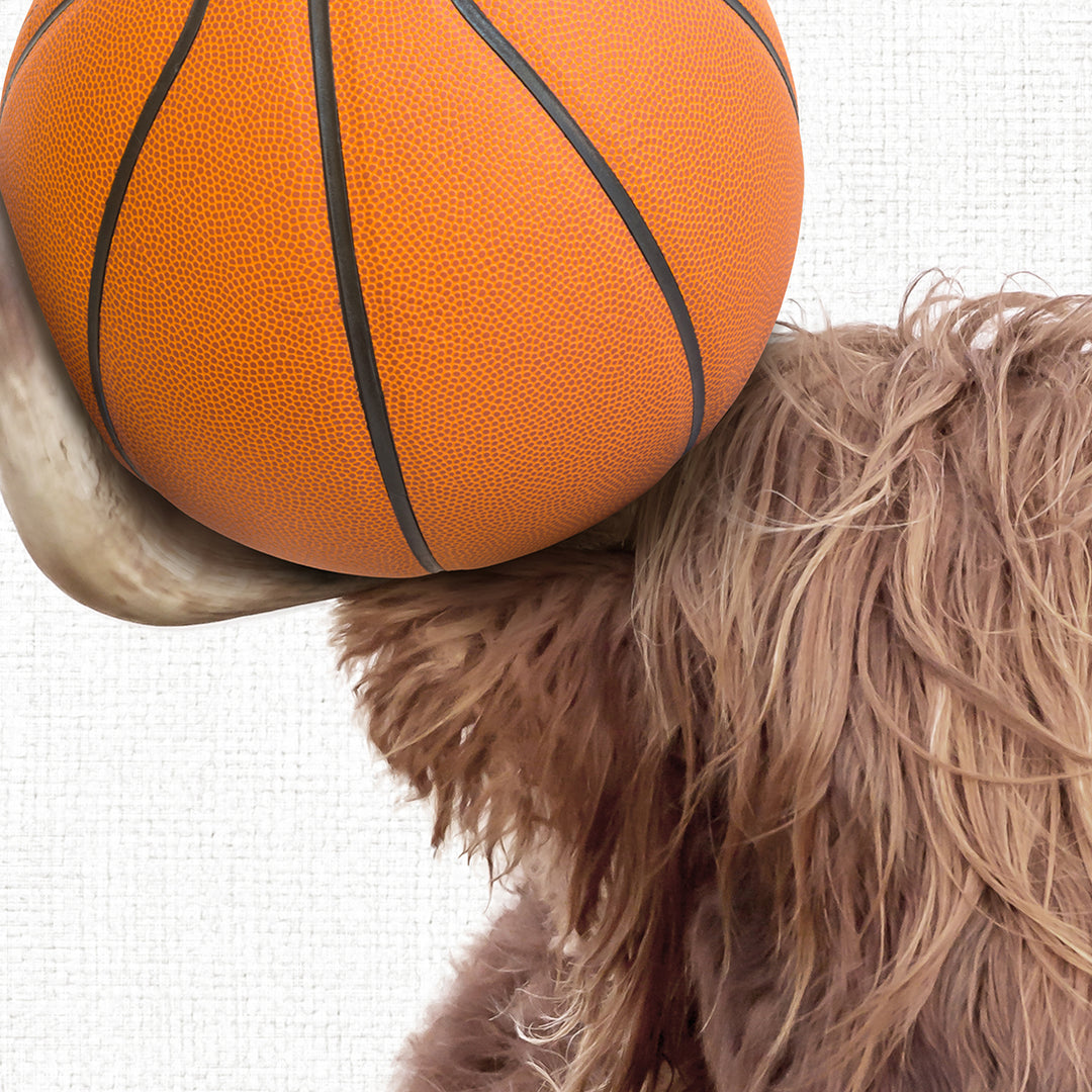 a dog with a basketball on its head