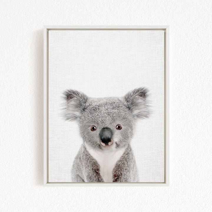 A framed photograph of a koala bear with a curious expression, looking directly at the camera.