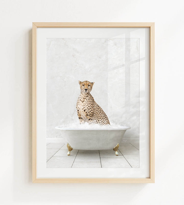A cheetah sitting in a white bathtub filled with water, looking directly at the camera.
