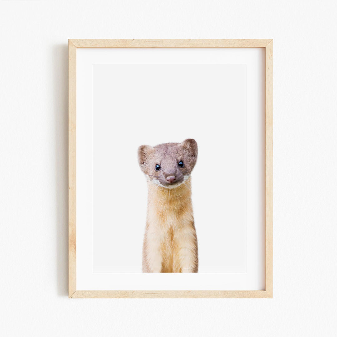 a picture of a ferret in a frame on a wall
