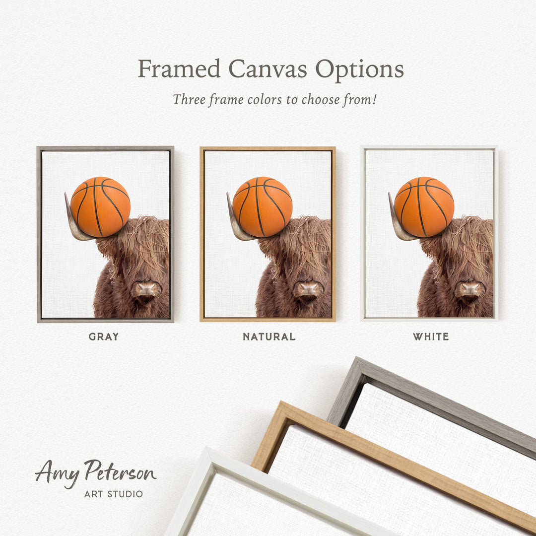 The image is a framed canvas option featuring three different colored frames, each containing a photo of a brown cow holding a basketball.