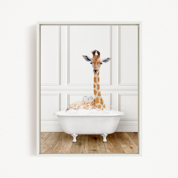 A giraffe sitting in a white bathtub filled with bubbles, looking directly at the camera.