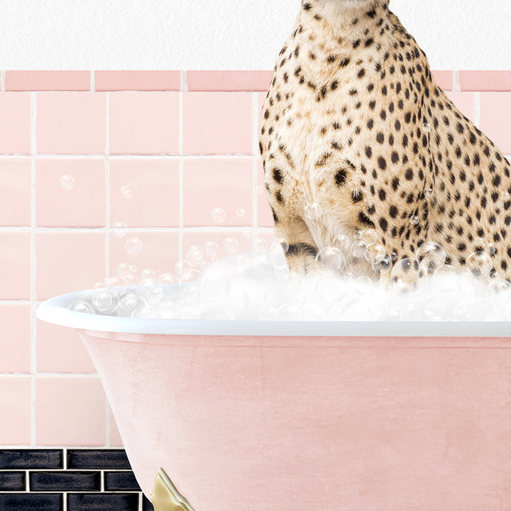 a cheetah sitting on top of a bathtub filled with foam