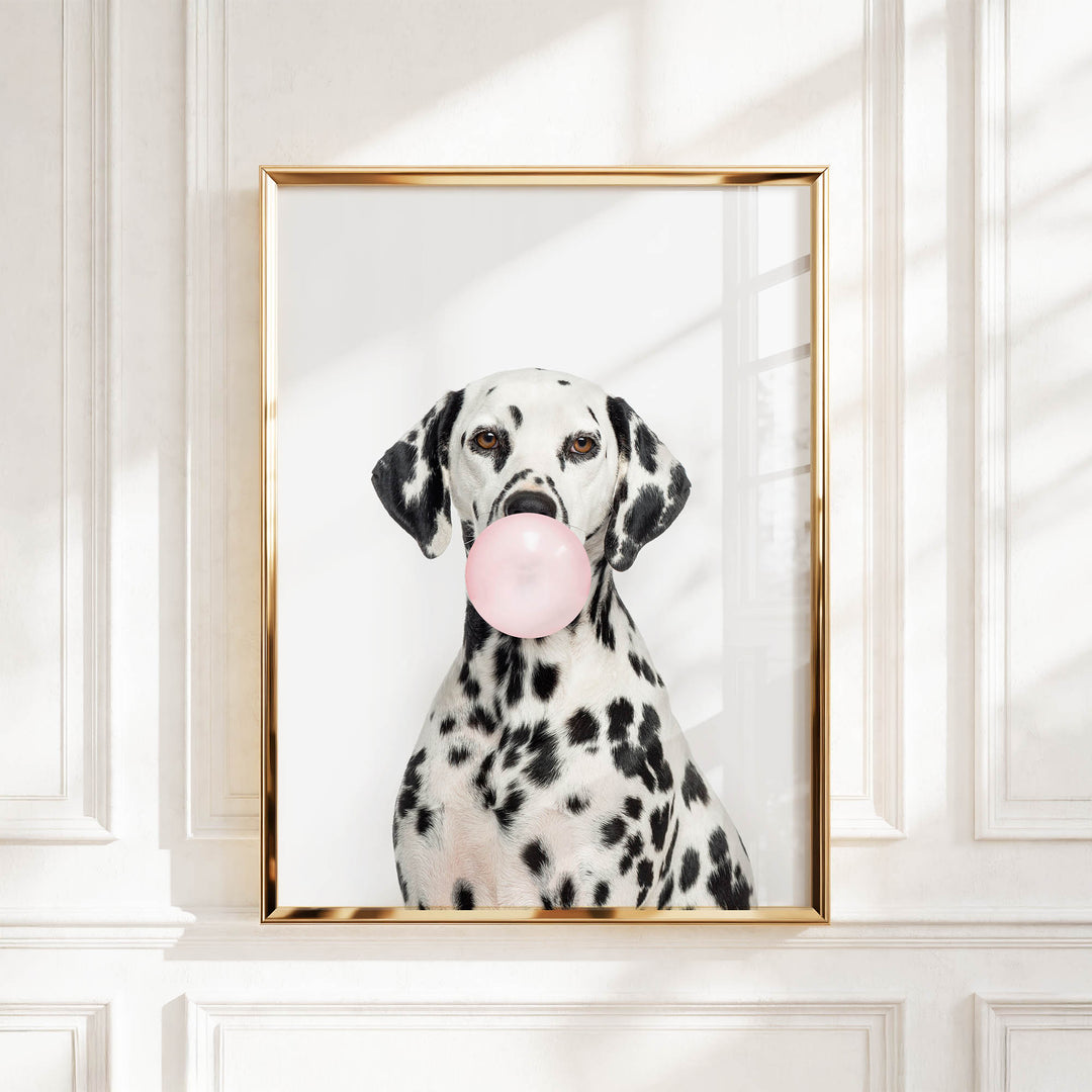 A Dalmatian dog is sitting in front of a white wall, blowing a bubble with a pink bubble gum bubble.
