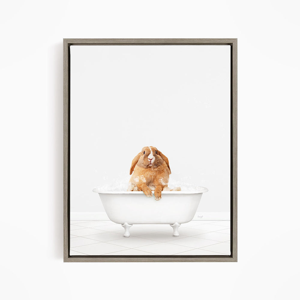 A brown rabbit sitting in a white bathtub filled with water, looking up at the camera.