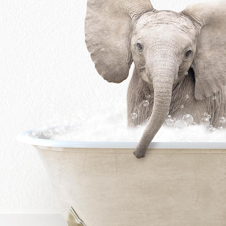 Baby Elephant No4 in Terrazzo Bath