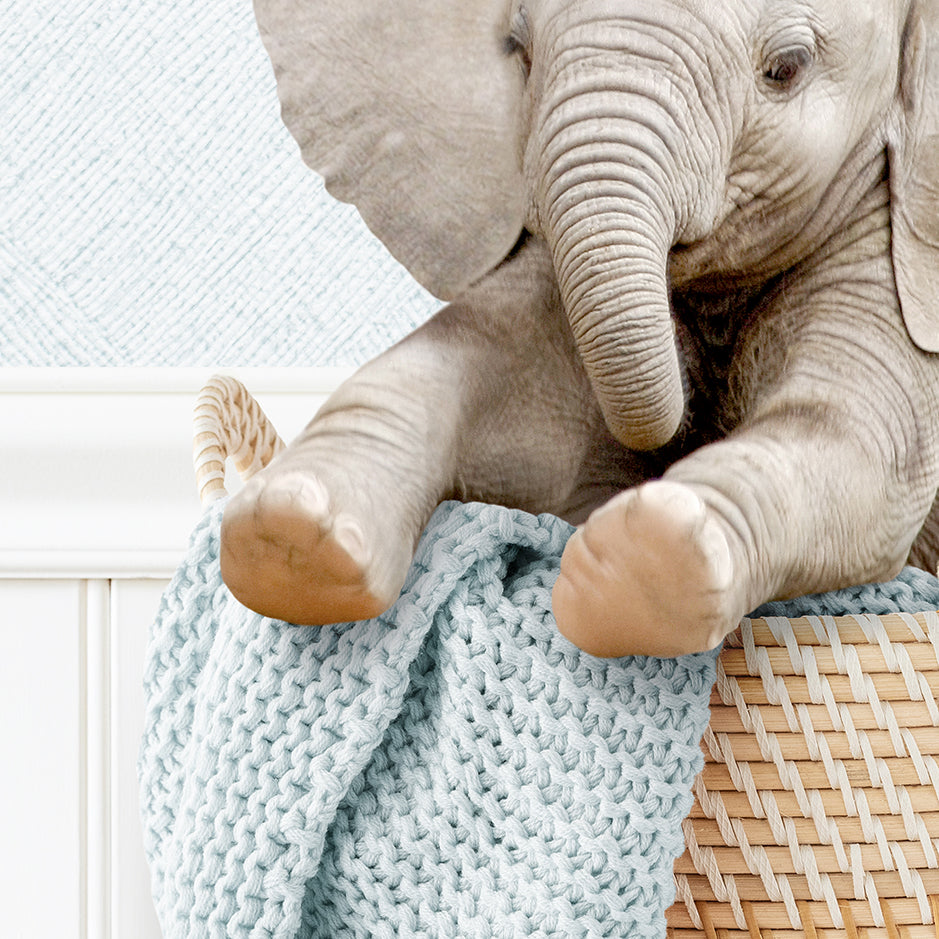Baby Elephant in Laundry Basket - Cottage Blue Wall