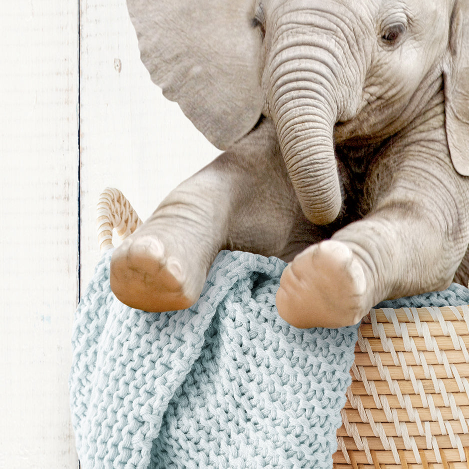 Baby Elephant in Laundry Basket - Farmhouse Wall