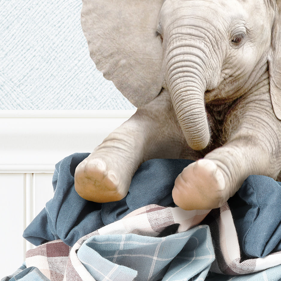 Baby Elephant on Laundry Clothes Pile - Cottage Blue Wall