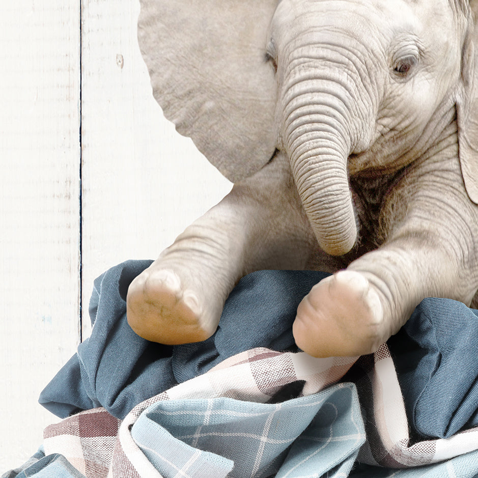 Baby Elephant on Laundry Clothes Pile - Farmhouse Wall