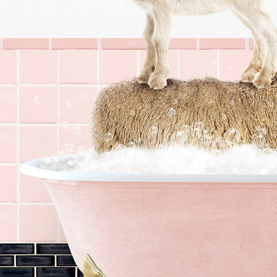 a goat standing on top of a bathtub filled with foam