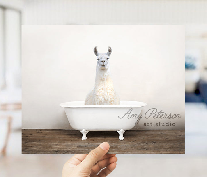 a person holding up a card with a llama in a bathtub