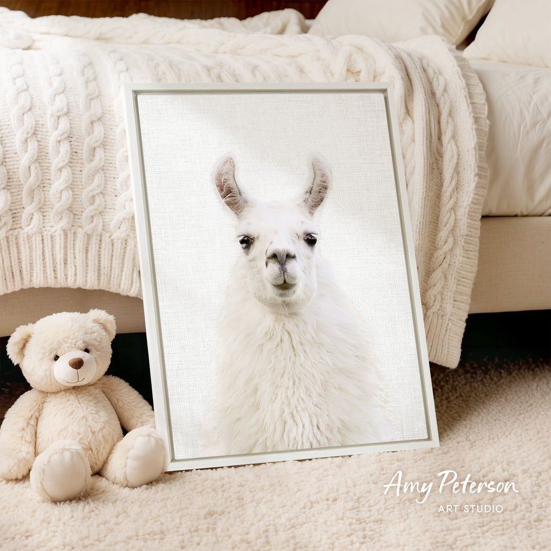 A framed photograph of a white llama is displayed on a bed, accompanied by a teddy bear.