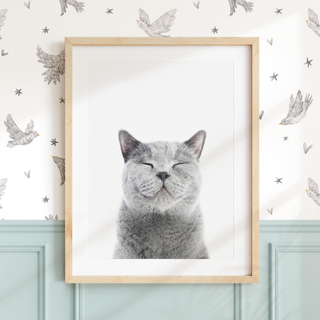 a picture of a cat with its eyes closed
