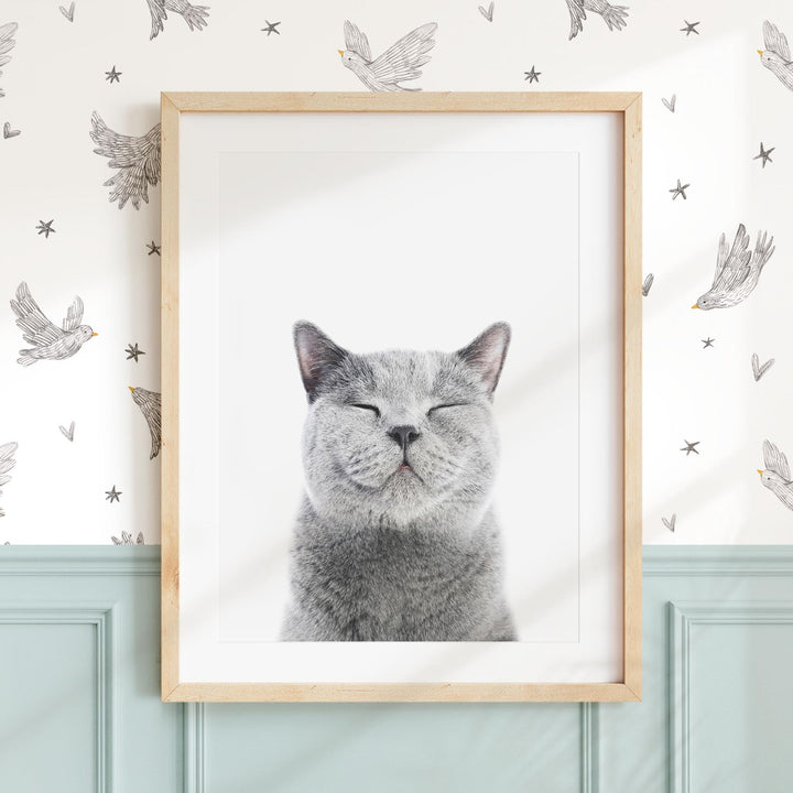 a picture of a cat with its eyes closed