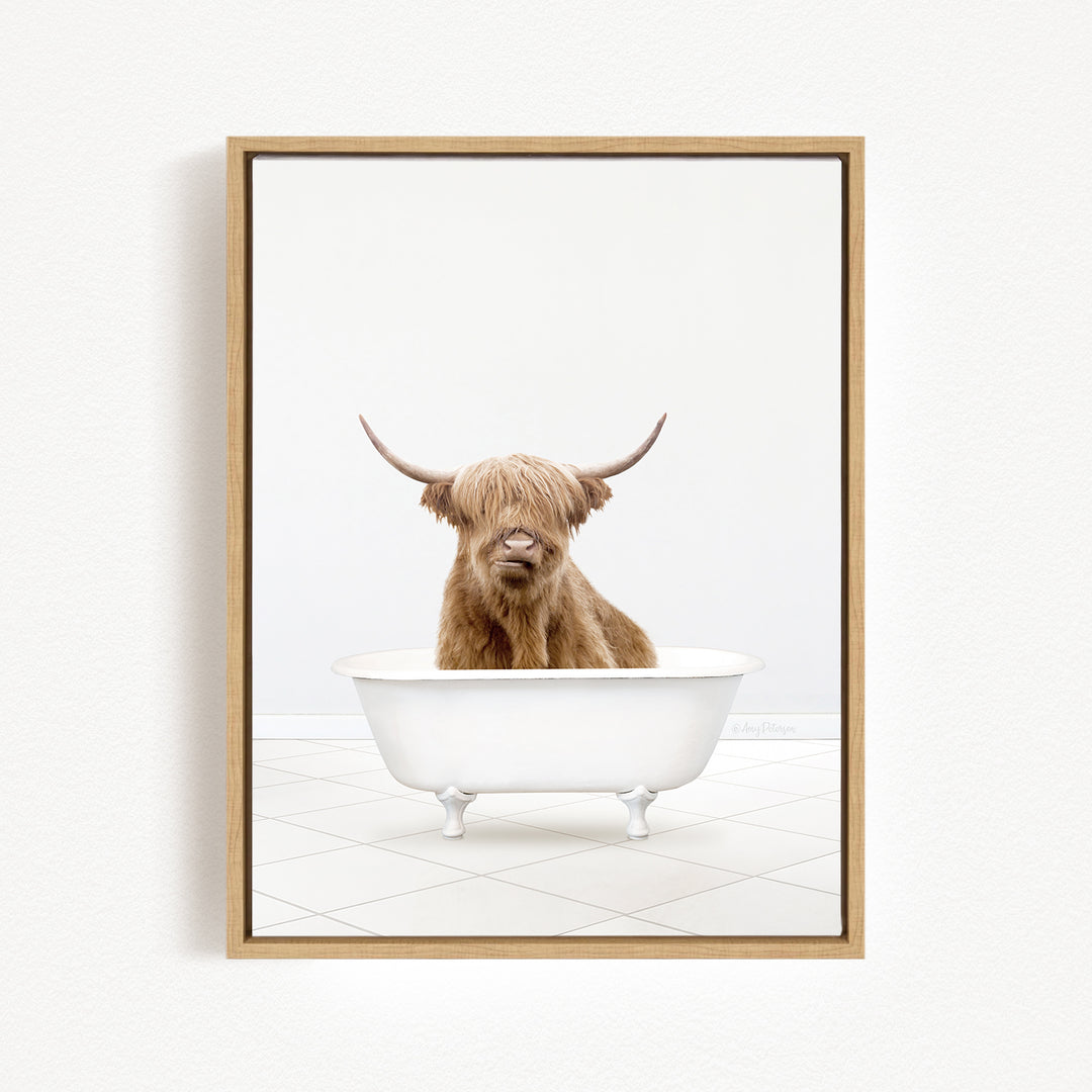 A brown cow with long horns is sitting in a white bathtub, looking directly at the camera.