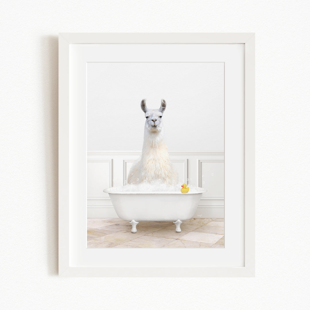 A white llama sitting in a white bathtub filled with bubbles, with a yellow rubber duck floating in the water.