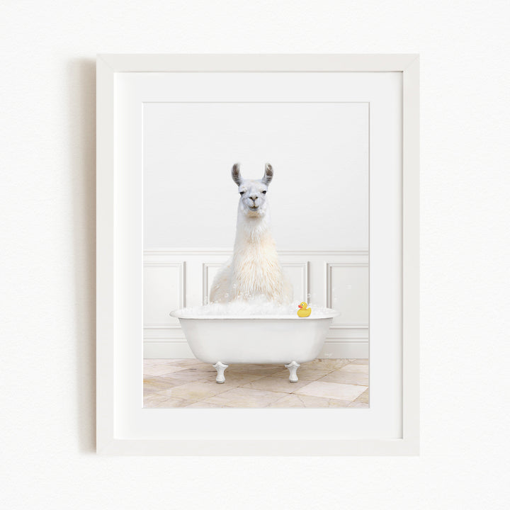 A white llama sitting in a white bathtub filled with bubbles, with a yellow rubber duck floating in the water.