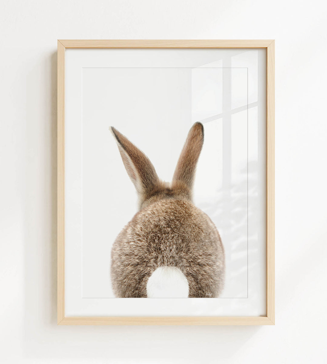 A framed image of a rabbit's back, showing its fluffy tail and ears, is displayed on a white wall.