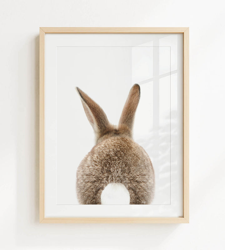 A framed image of a rabbit's back, showing its fluffy tail and ears, is displayed on a white wall.