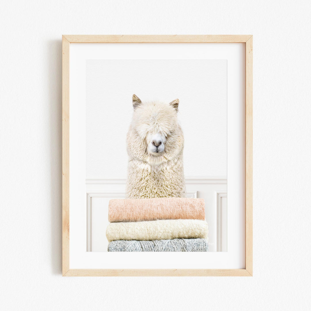 a picture of a llama with a pile of blankets