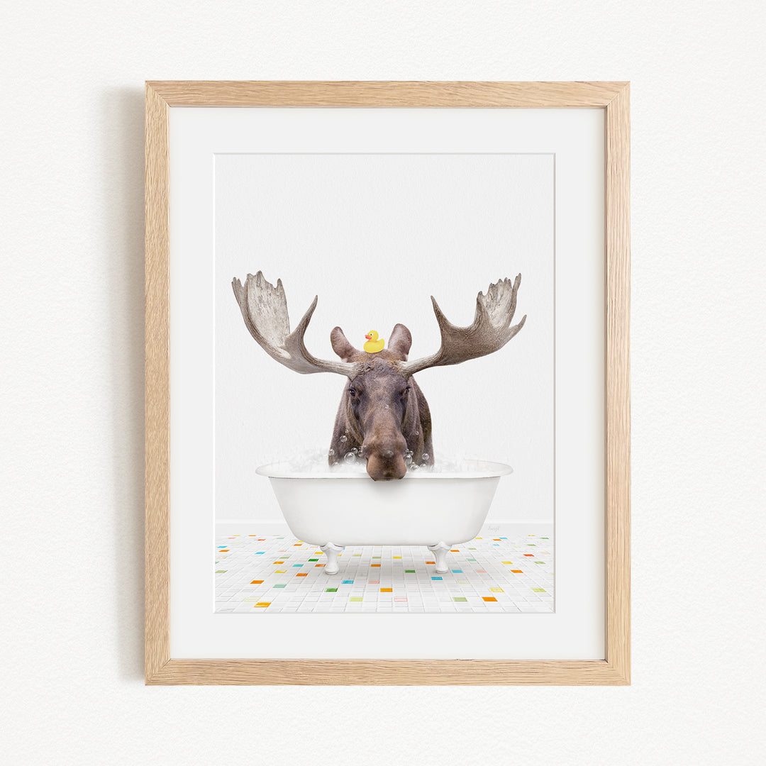 A moose with large antlers is sitting in a bathtub, with a yellow rubber duck perched on its head.
