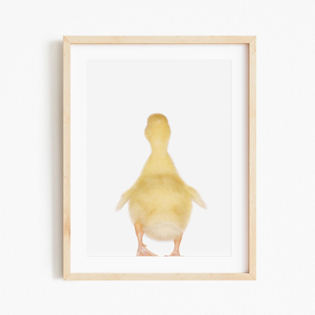 a picture of a duck in a frame