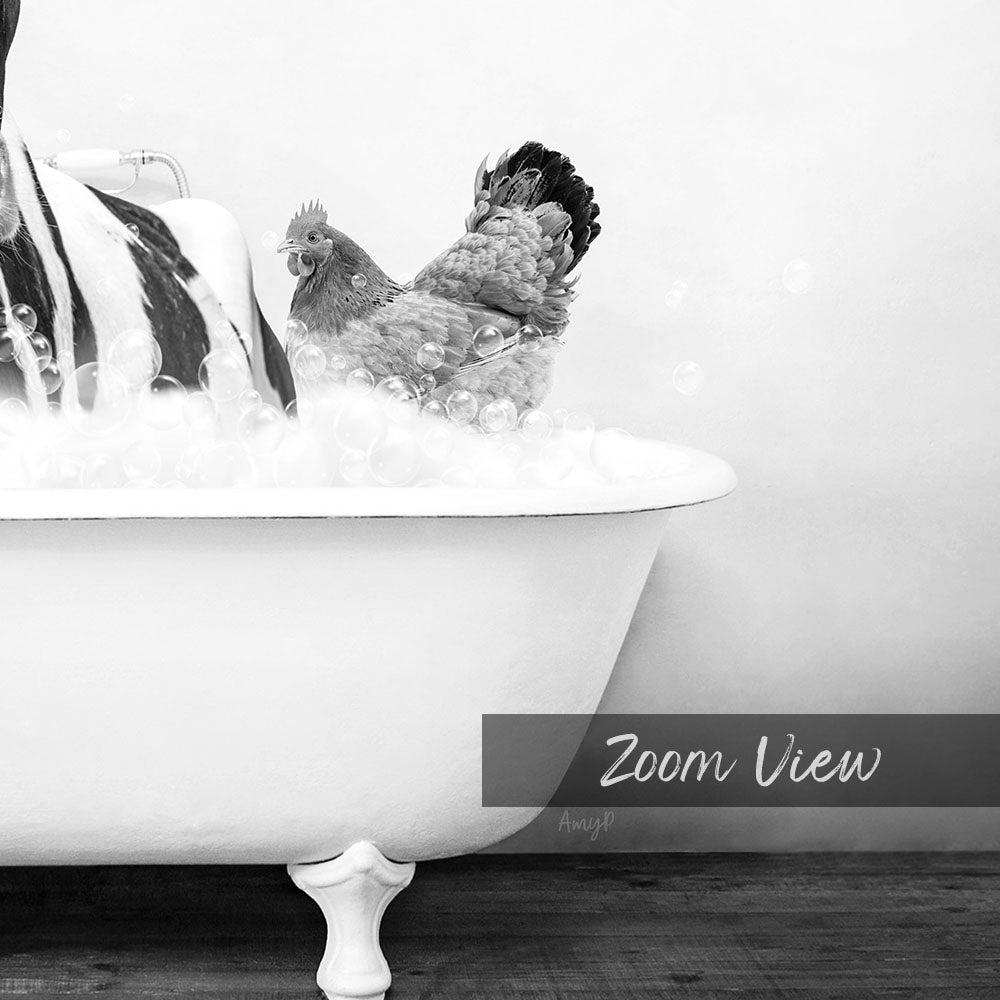 A black and white image showing a chicken sitting in a bathtub filled with bubbles, with the text "Zoom View" overlaid on the image.