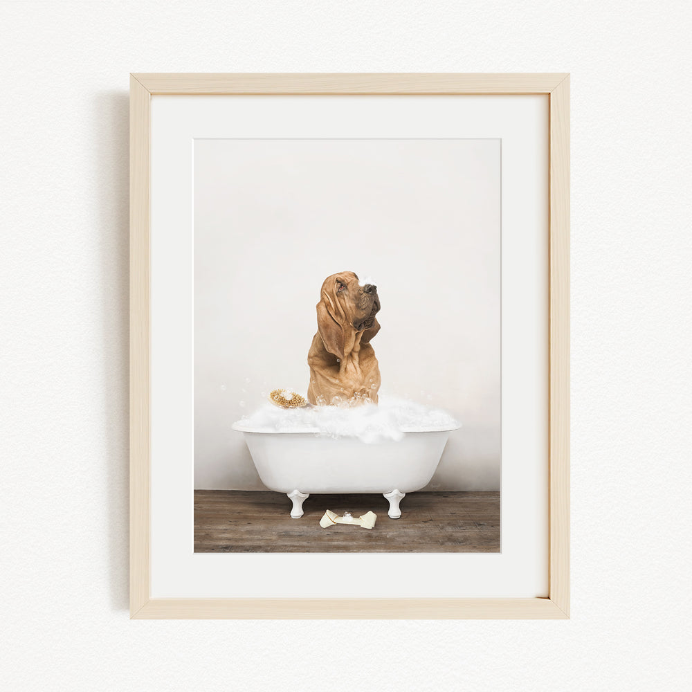 A brown dog sitting in a white bathtub filled with bubbles, with a bone on the floor.