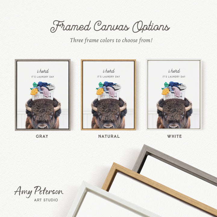 three framed canvas options, each featuring a different color and frame style. The options include a gray frame, a natural frame, and a white frame. The text above the options reads " Framed Canvas Options" and "Three frame colors to choose from!".