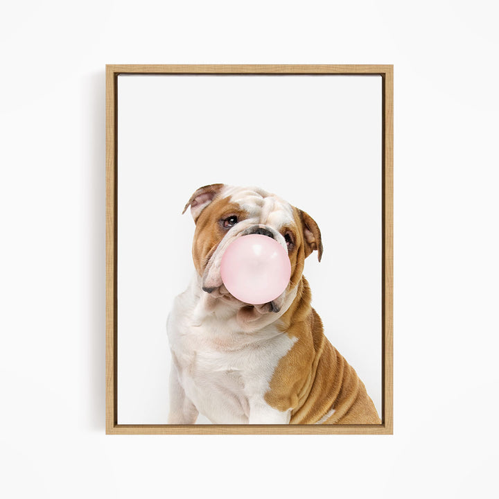 A brown and white bulldog is blowing a pink bubble with its mouth, creating a playful and adorable scene.