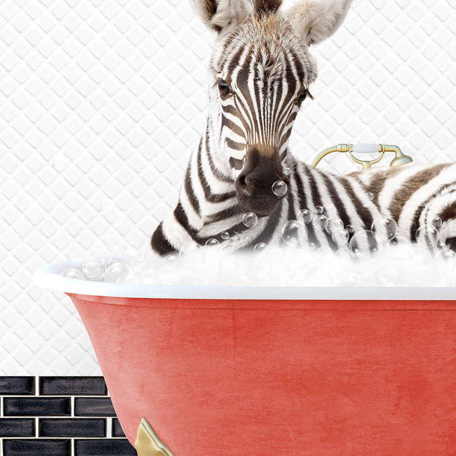 a baby zebra laying in a bath tub