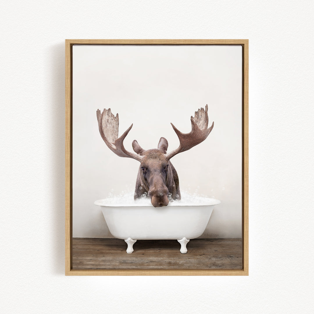 A moose with large antlers is sitting in a white bathtub filled with water, creating a whimsical and humorous scene.