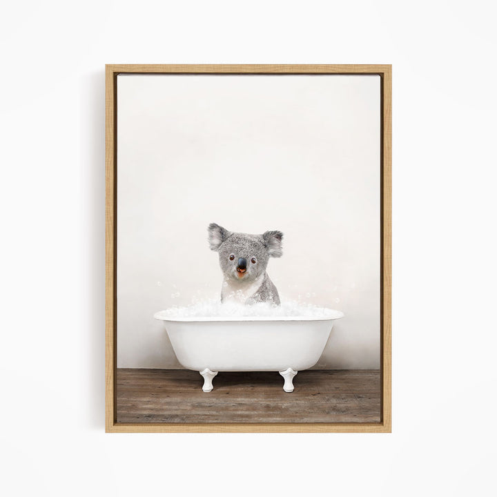 A koala bear sitting in a white bathtub filled with water, looking directly at the camera.