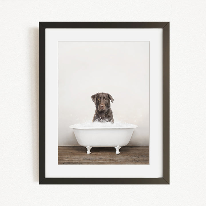 A brown dog sitting in a white bathtub filled with water, looking directly at the camera.