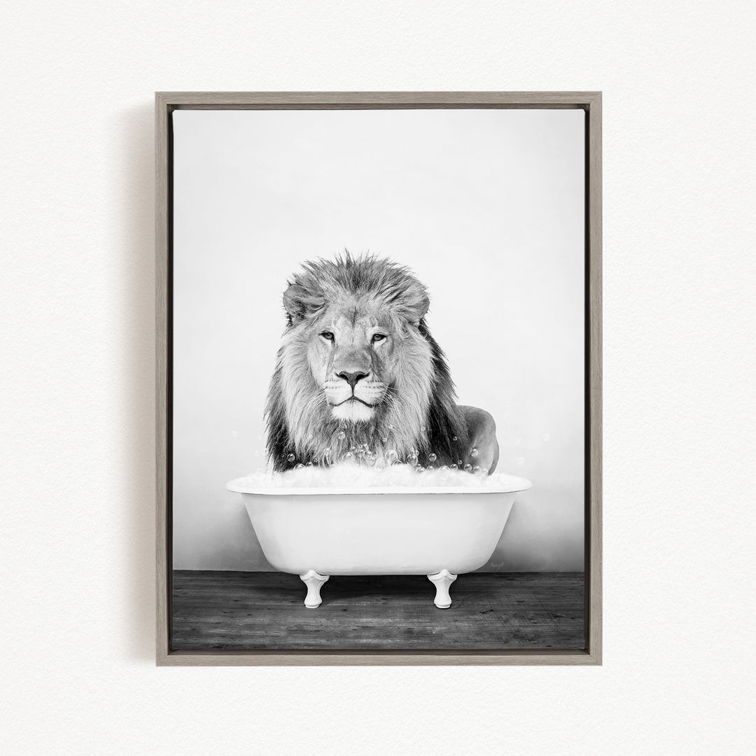 A black and white photograph of a lion sitting in a bathtub filled with water.