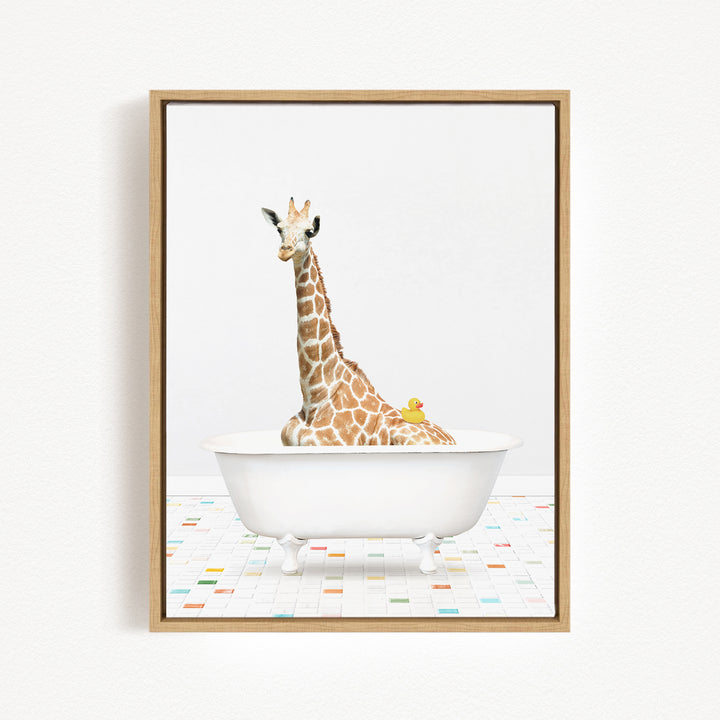 A giraffe is sitting in a white bathtub, with a yellow duck resting on its back.